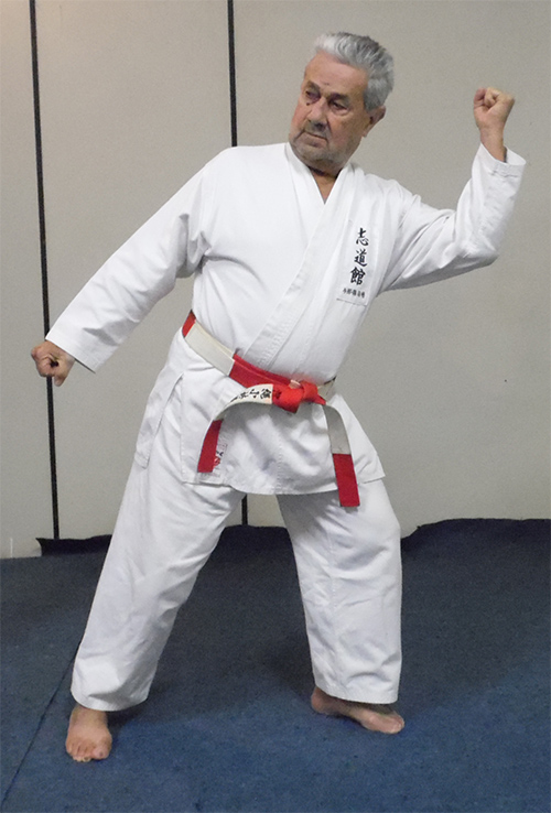 Osmar Teixeira Vieira Kyoshi (8º Dan) Osmar Teixeira Vieira Kyoshi (8º Dan)